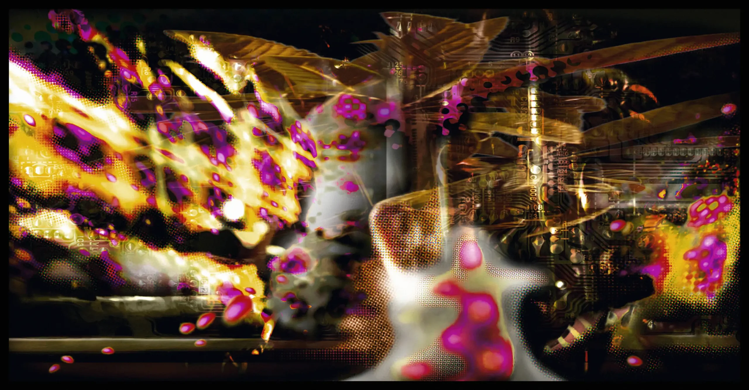 LaLaLand . c-print mounted in shadow-box